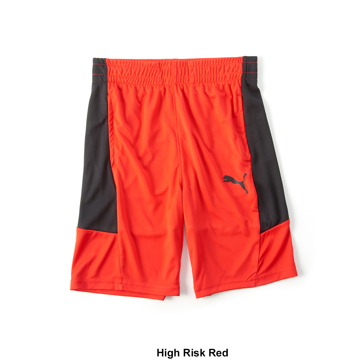 Boys (8-20) Puma(R) Polyester Active Shorts