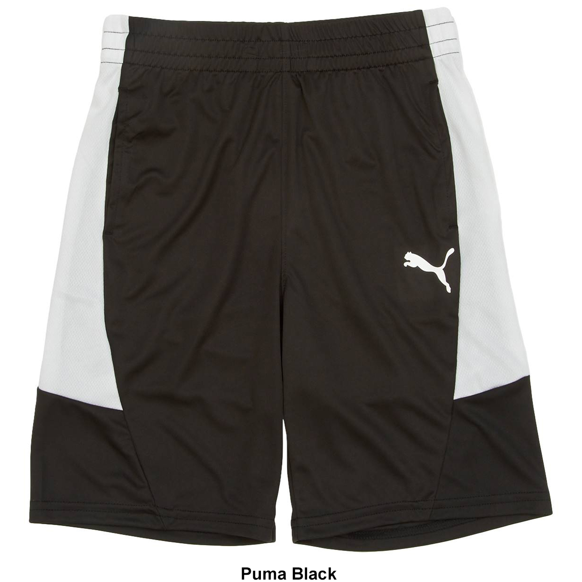 Boys (8-20) Puma(R) Polyester Active Shorts