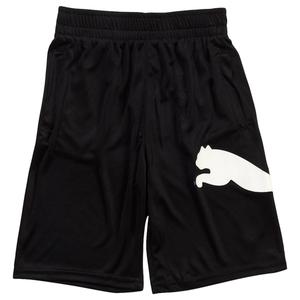 Boys (8-20) Puma(R) Speed Pack Performance Shorts