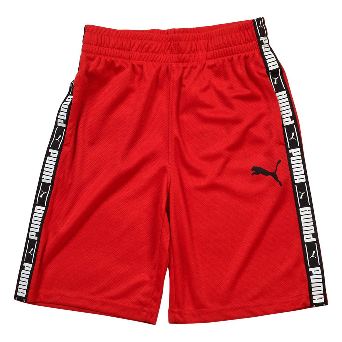 Boys (8-20) Puma Logo Lab Taping Mesh Shorts