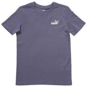 Boys (8-20) Puma(R) Essential Basics Tee