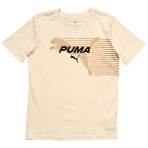 Boys (8-20) Puma(R) House of Graphics Tee - Alpine Snow