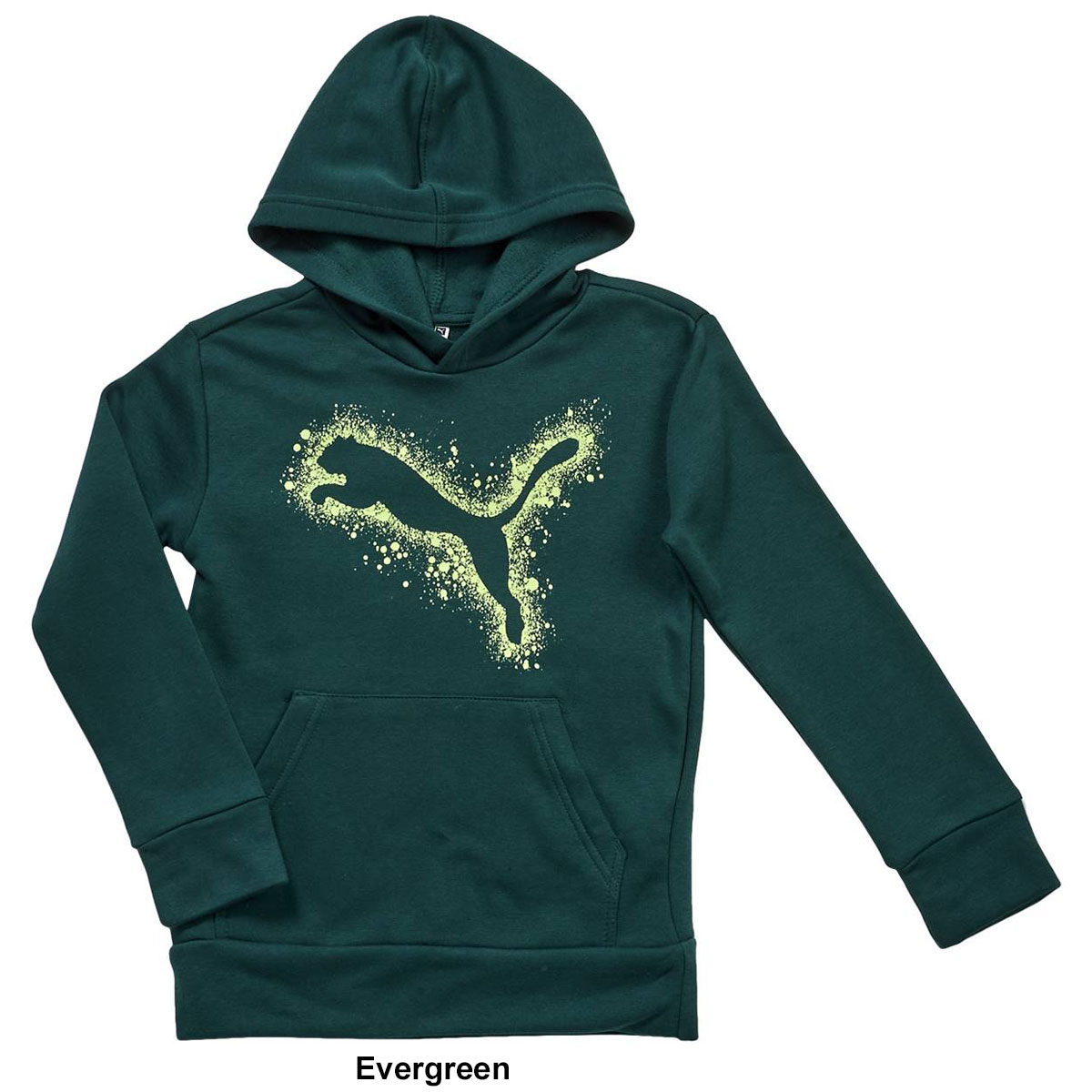 Boys (8-20) Puma Splatter Pack Fleece Pullover Hoodie