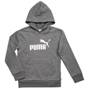 Boys (8-20) Puma(R) Foundations Pullover Hoodie