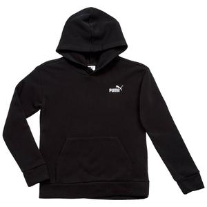 Boys (8-20) Puma(R) Essential Basics Hoodie alternate view