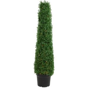 Northlight 4ft. Pre-Lit Artificial Boxwood Topiary Tree