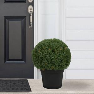 Northlight 20in. Pre-Lit Artificial Boxwood Ball Topiary alternate view