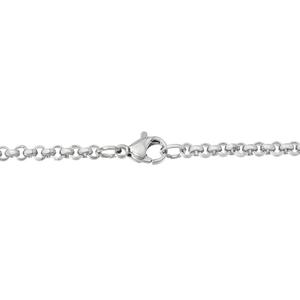 Mens Lynx Stainless Steel 3mm. Wide Rolo Chain Necklace alternate view