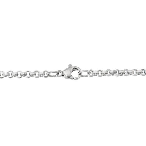 Mens Lynx Stainless Steel 3mm. Wide Rolo Chain Necklace alternate view