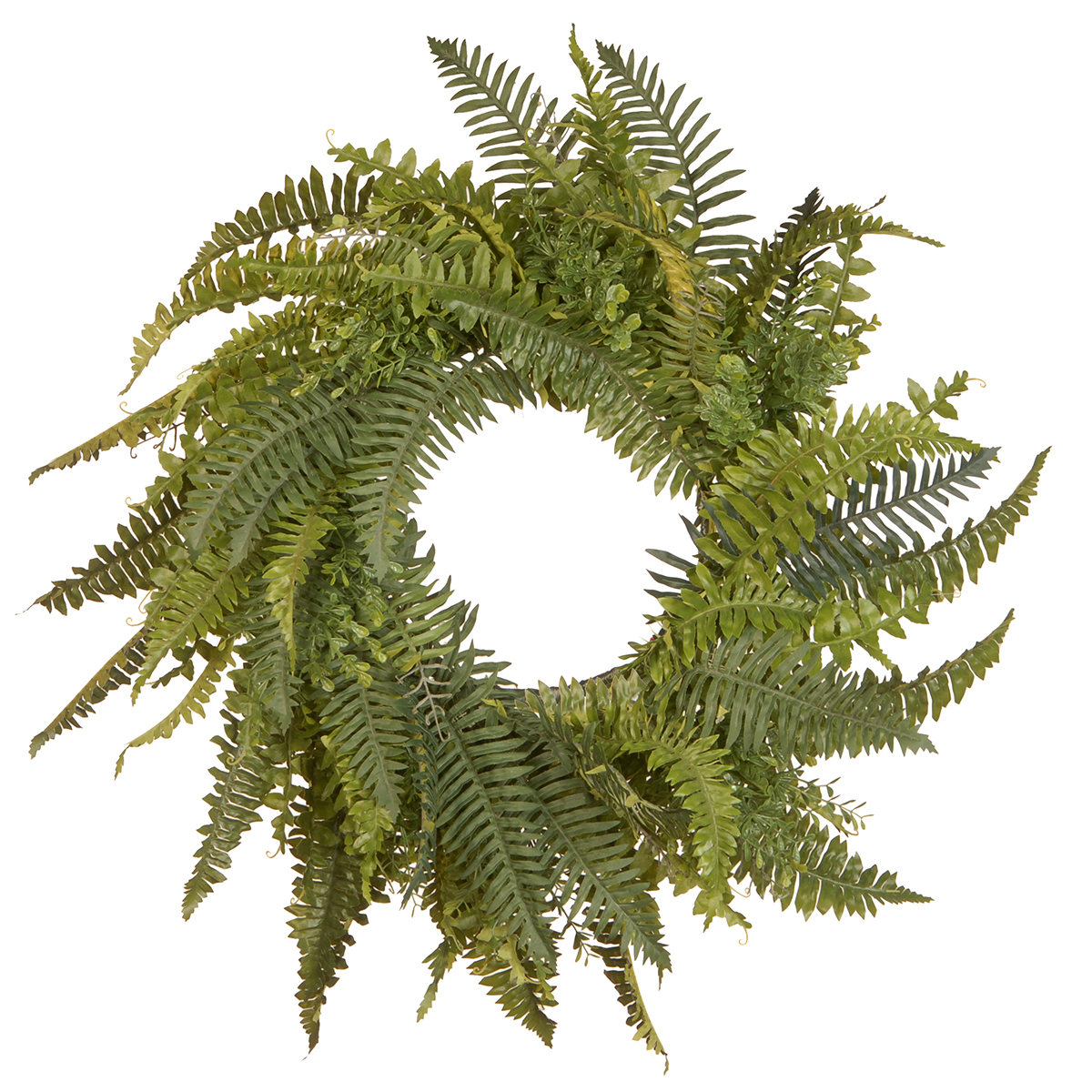 National Tree Fern Wreath