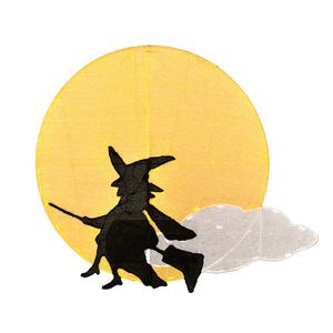 National Tree 41in. LED Moon and Flying Witch