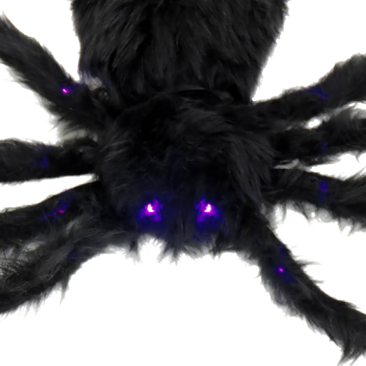 National Tree 50in. Halloween Black Spider LED Lights