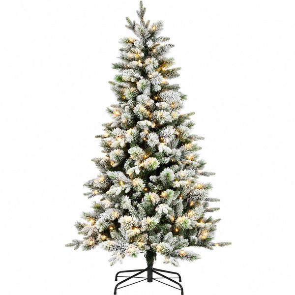 National Tree 7ft. Snowy Pendleton Spruce Christmas Tree