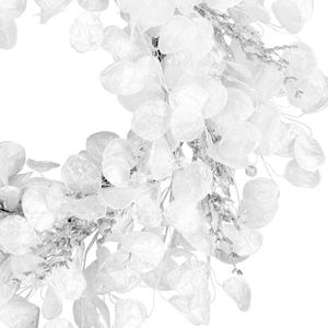 National Tree Winter Frost 24in. Artificial Christmas Wreath alternate view