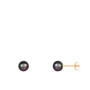 Splendid Pearls 14kt. Gold 5mm Round Pearl Stud Earrings