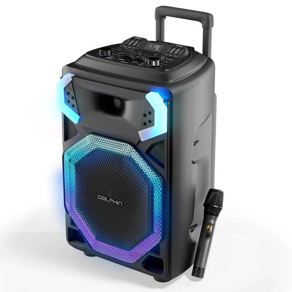 Dolphin 15in. Party Speaker with Light