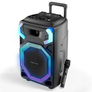 Dolphin 15in. Party Speaker with Light