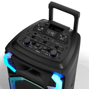 Dolphin 15in. Party Speaker with Light alternate view