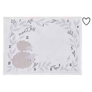 NoJo Together is Better Milestone Baby Blanket alternate view
