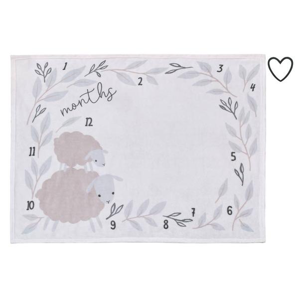 NoJo Together is Better Milestone Baby Blanket alternate view