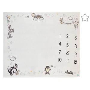 Warner Bros. Looney Tunes Milestone Baby Blanket