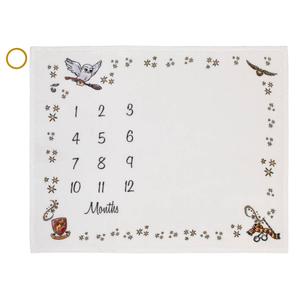Warner Bros. Harry Potter Magical Moments Milestone Baby Blanket alternate view