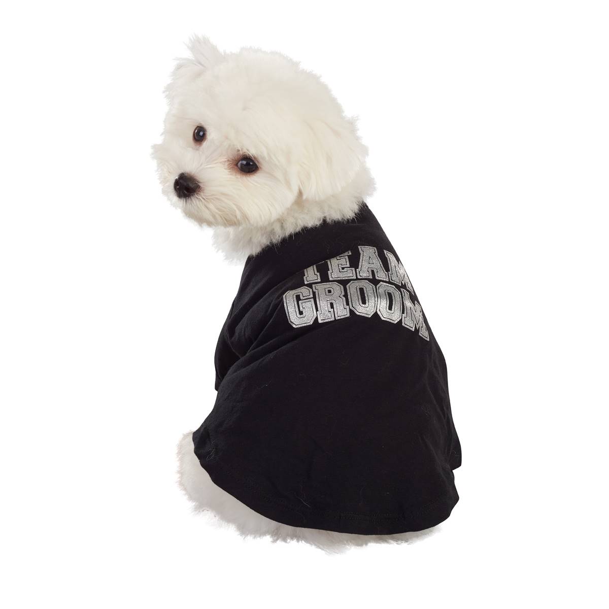 Best Furry Friends Team Groom Pet T-Shirt