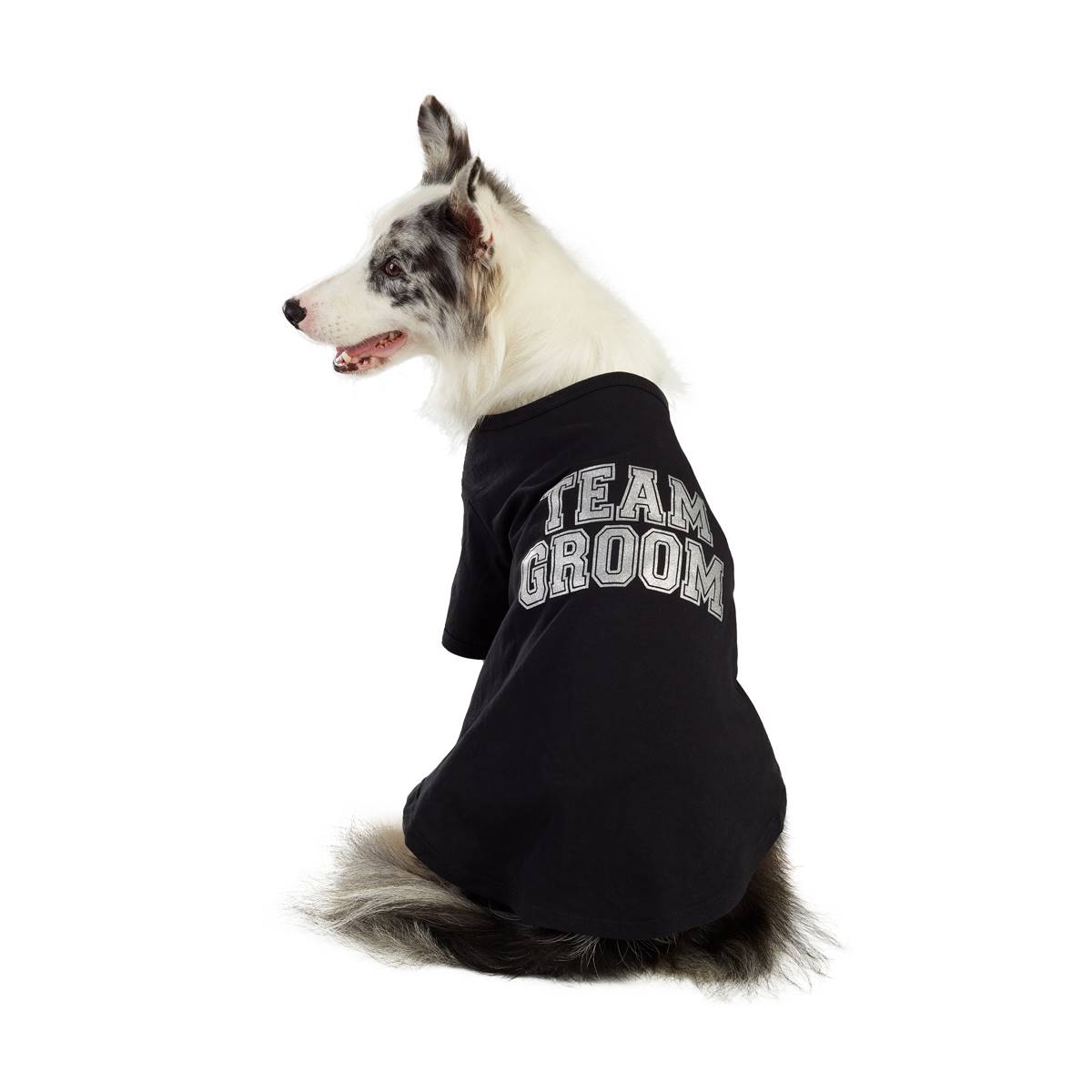 Best Furry Friends Team Groom Pet T-Shirt
