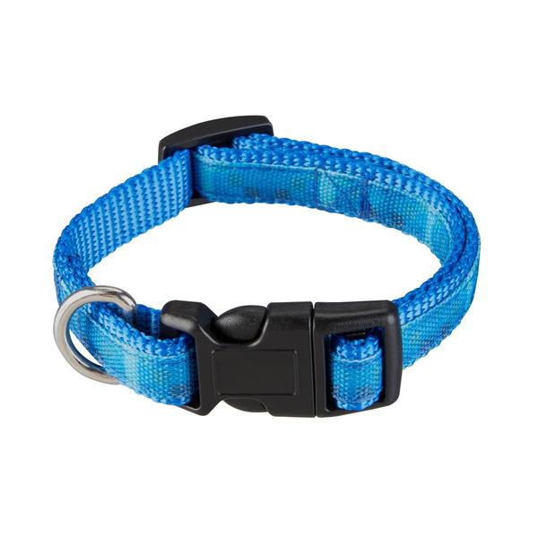 Best Furry Friends Ombre Graphic Pet Collar