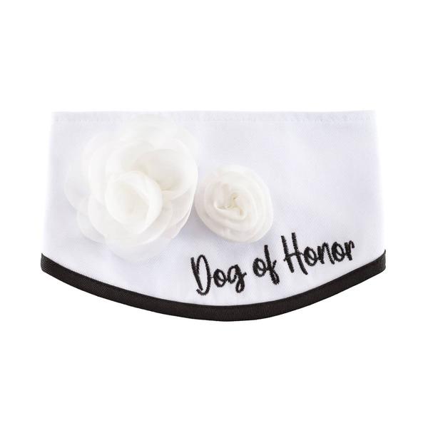 Best Furry Friends Classic Floral Pet Collar