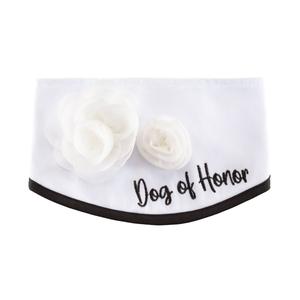 Best Furry Friends Classic Floral Pet Collar