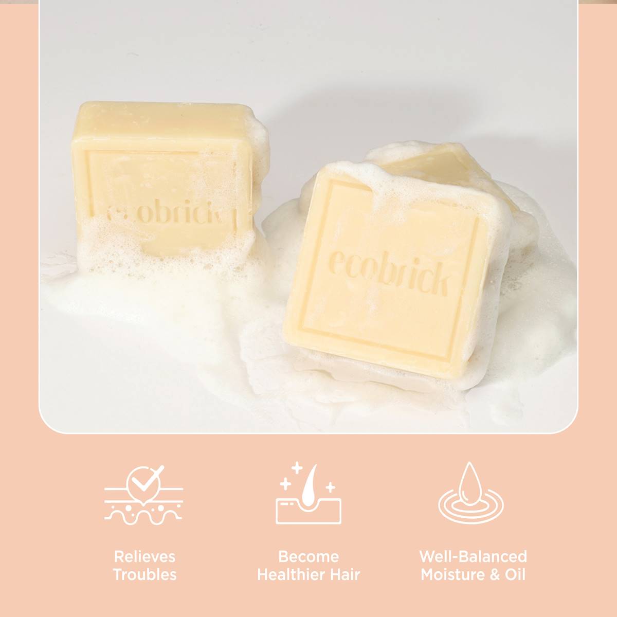 EcoBrick Mild Acidic Scalp Care Shampoo Bar