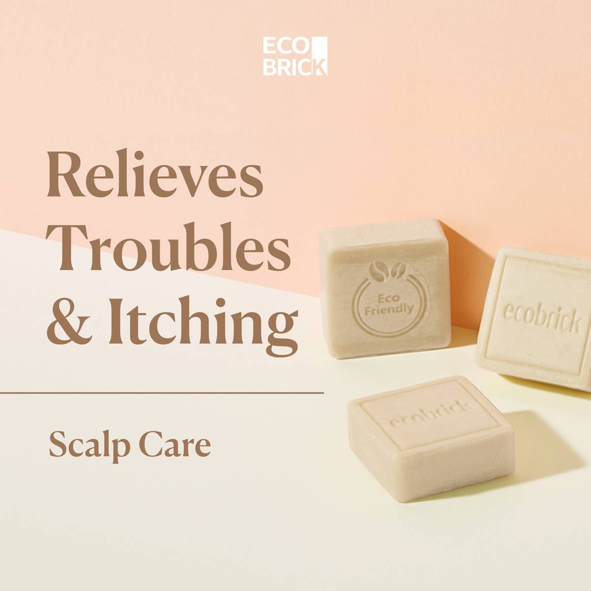 EcoBrick Mild Acidic Scalp Care Shampoo Bar