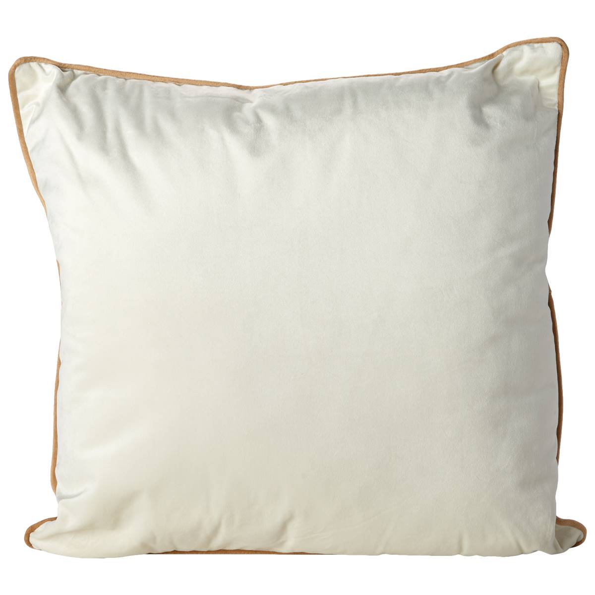 Velvet W/ Contrasting Piping Decorative Pillow - 20x20