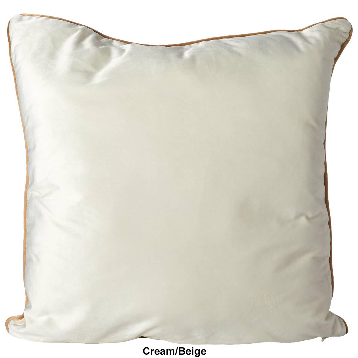 Velvet W/ Contrasting Piping Decorative Pillow - 20x20