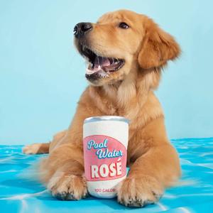 Bark Box Pool Water Rose Dog Toy alternate view