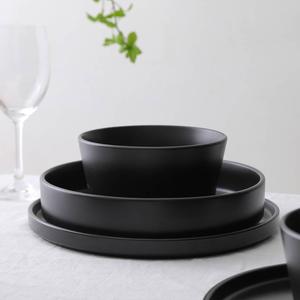 Stone Lain Celina 12pc. Stoneware Dinnerware Set alternate view