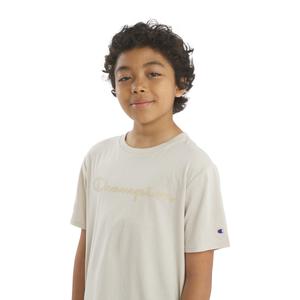 Boys (8-20) Champion(R) Silicone Short Sleeve Tee alternate view