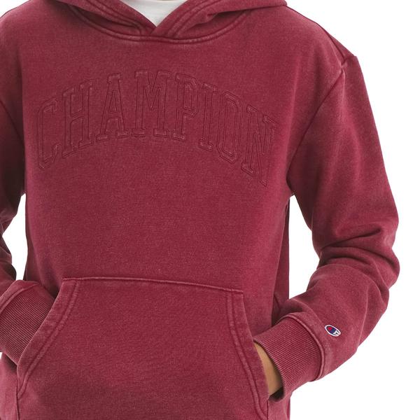 Boys (8-20) Champion(R) Washed Hoodie W/ Embroidery alternate view