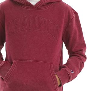 Boys (8-20) Champion(R) Washed Hoodie W/ Embroidery alternate view