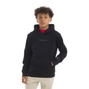 Boys (8-20) Champion(R) Signature Tonal Chest Hit Hoodie