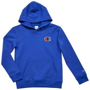 Boys (8-20) Champion(R) Hoodie With Back Decal alternate view