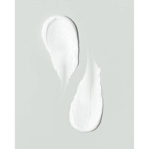 Shielded Beauty Feeding Frenzy Prebiotic Cleanser alternate view