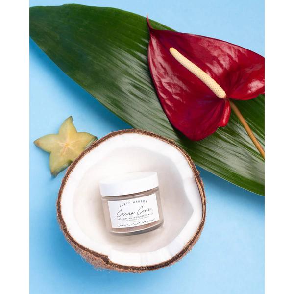 Earth Harbor Cacao Cove Detoxifying Indulgence Mask alternate view