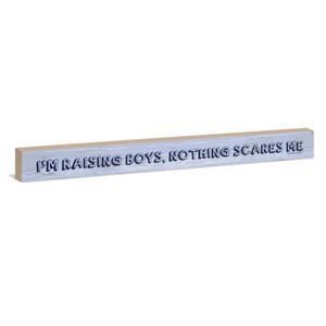 Raising Boys Sign