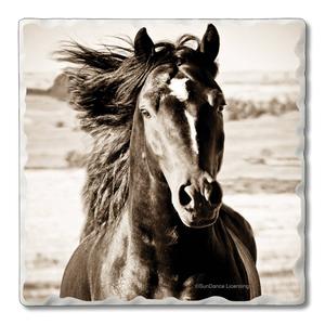 4pk. Black Beauty Square Set