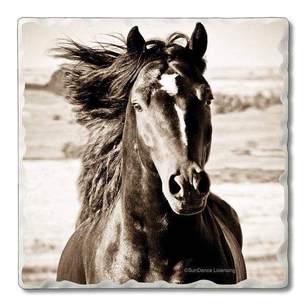 4pk. Black Beauty Square Set