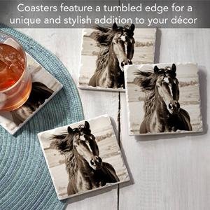 4pk. Black Beauty Square Set alternate view