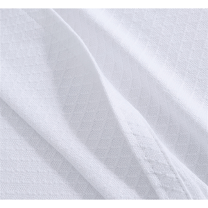 Royal Velvet Dream Cotton Blanket