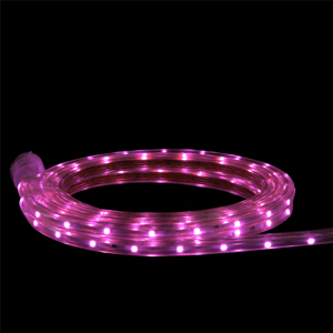 CC Christmas Decor 10ft. LED Christmas Linear Tape Lights
